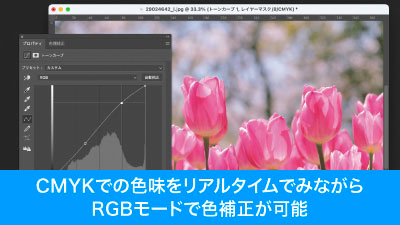 RGBで色補正をしながらリアルタイムでCMYKの色味を確認できる