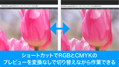 ショートカットでプレビュー表示のみをRGBとCMYKで簡単に切り替え可能