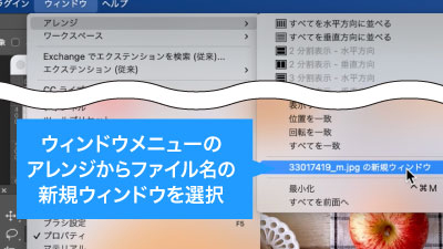 ウィンドウメニューのアレンジから今歩開いているファイル名の新規ウィンドウを選択