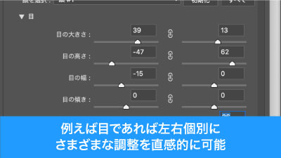 目であれば左右個別でも調整が可能
