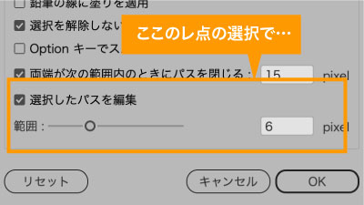 おすすめオプション、選択したパスを編集