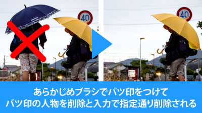 例えば画像にバツ印をつけてバツ印の部分を削除等、指示の自由度が高い