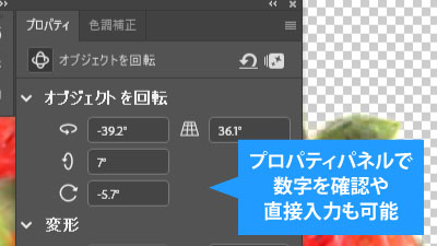 数値にて回転の角度を確認や、細かく調整も可能